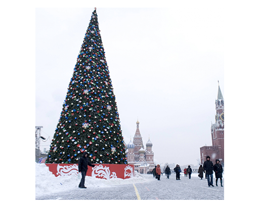 モスクワの冬のツリー